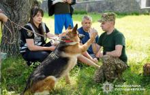 Відновлювальна терапія для воїнів з песиками