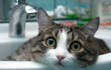 Воду обіцяють включити після 14-ї години