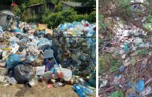 Несанкціоновані сміттєзвалища на Ужгородщині