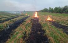 Загоряння сухої трави