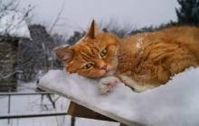 У найближчі дні на Закарпатті прогнозують негоду 