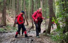 Пошуки заблукалого