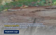 Незаконні рубки