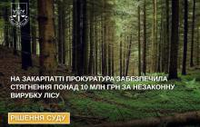 Ліс