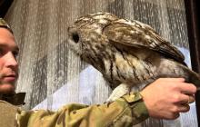 Птах з прикордонником