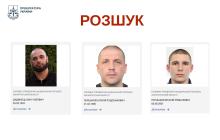 Розшук