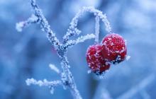 На Закарпатті через холодне арктичне повітря буде морозно 