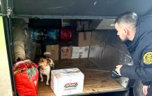 На митниці "служать" різні породи собак