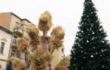 Дідух у Мукачеві