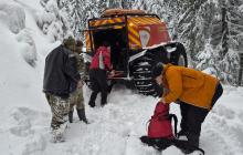 Пошуки заблукалого