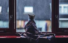 Незначні опади дощу на низовині, а в гораз з мокрим снігом, завтра будуть на Закарпатті 