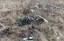 Сміттєзвалище на Виноградівщині