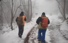 Пошуки заблукалого