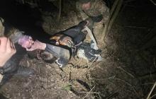 Ледь живого чоловіка знайшли прикордонники на березі Тиси та врятували його