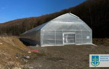 На Закарпатті трьох осіб підозрюють у привласненні 3 млн грн грантових коштів ЄС на відновлення лісів 