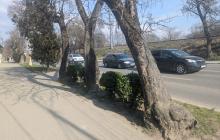 Вулиця Академіка Шпеника