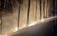 Загоряння лісової підстилки