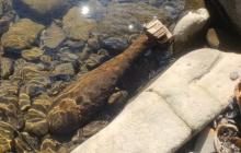 Старий боєприпас часів 2 Світової війни