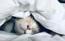 За прогнозами синоптиків на Закарпатті буде сніжно