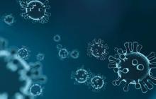 12 закарпатців одужали від коронавірусу 