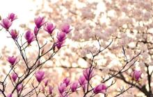 Сьогодні буде до 18° тепла