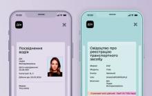 Вигляд техпаспорта та посвідчення водія в Дії