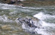 Мотоцикл загиблого 