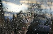 На Закарпатті 21 травня дощитиме 