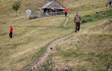 Пошуки заблукалого грибника