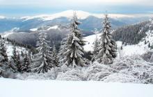 На Закарпатті 4 січня прогнозують мокрий сніг