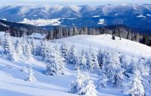 30 січня на території Закарпатської області синоптики прогнозують погоду без опадів 