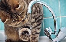 Перелік вулиць, де сьогодні в Мукачеві не буде води 