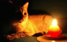 На Закарпатті ввели Графіки відключення світла 