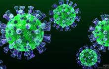 На Закарпатті лабораторно підтверджені 23 випадки COVID – 19