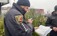 Правоохоронець під час перевірки 