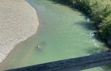 У чоловіка не виявили документи 