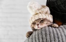 Завтра на Закарпатті вдень буде сніг з дощем 