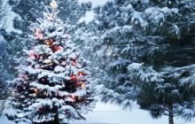 Синоптики дали прогноз на Закарпатті на Новий рік 