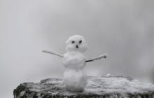 На Закарпатті 3 лютого прогнозують мокрий сніг 