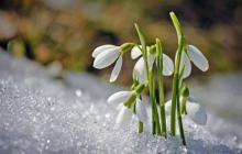 У горах 9 березня буде мороз 