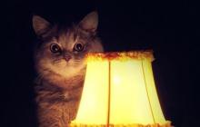 Де не буде світла на Закарпатті у вівторок, 4 червня