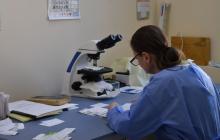 Лікарі, робочий процес