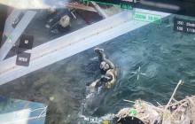 Затонулий в Тисі українець, якого виявили у водоймі прикордонники 