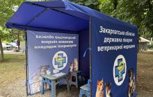 Палатка з безкоштовною вакцинацією тварин