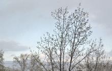 Ужгород, небо, сніг, 7 квітня