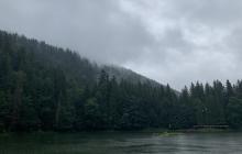 Краєвиди Карпат