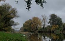 Пейзаж річки біля осінніх дерев