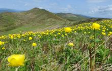 Вододільний хребет