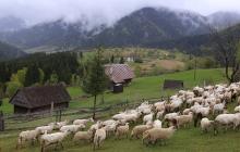 Синевирська Поляна