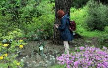 Ботанічний сад УжНУ